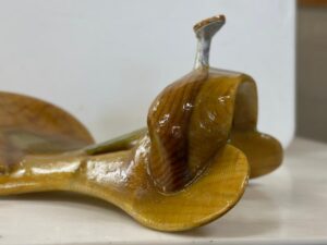 A close up of the top part of a banana peel.